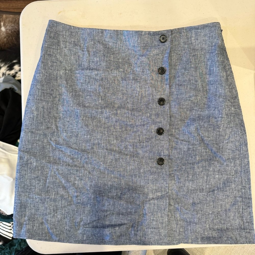 ANN TAYLOR SKIRT